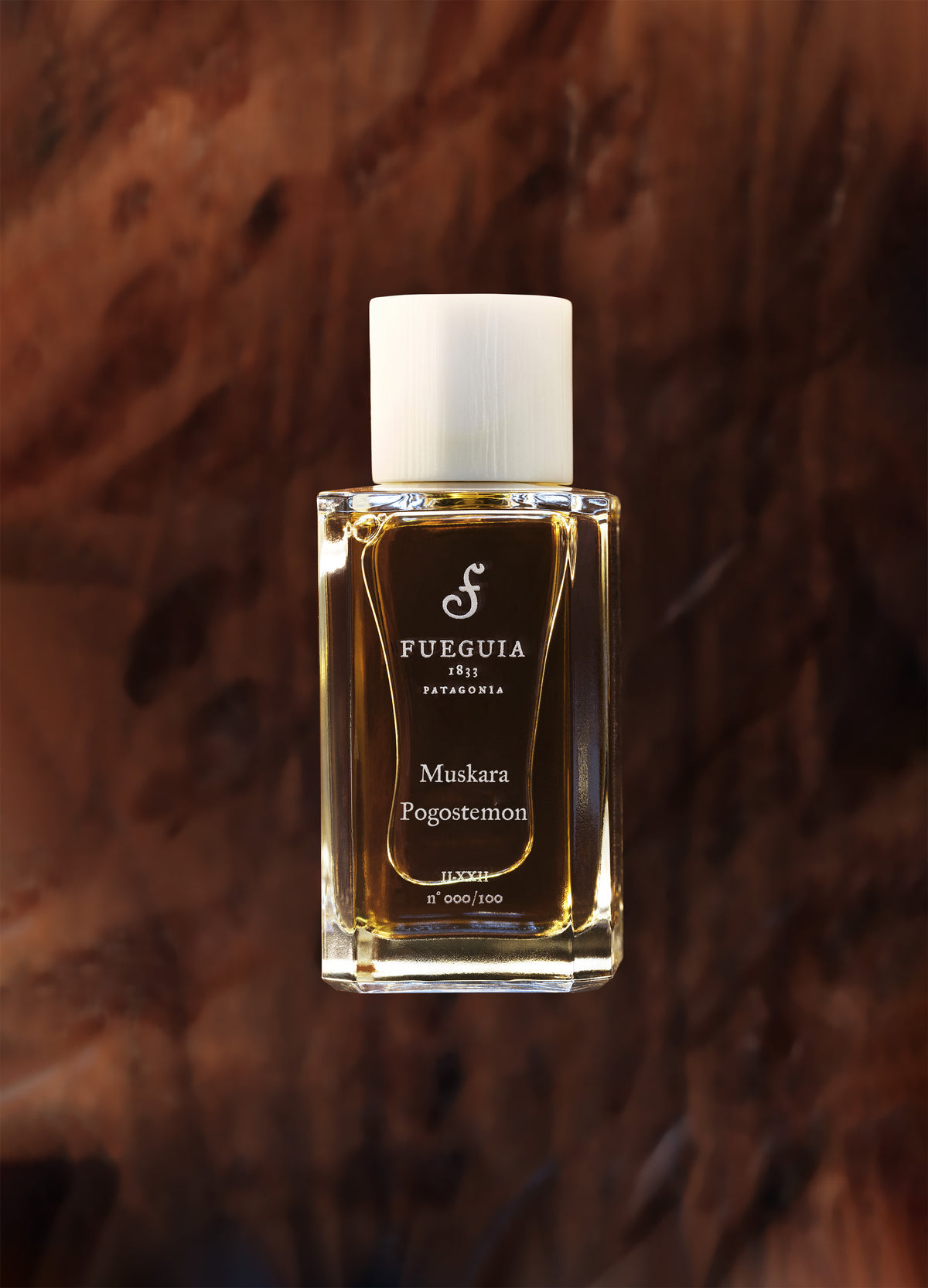 FILE FRAGRANCES POGOSTEMON 【公式通販】
