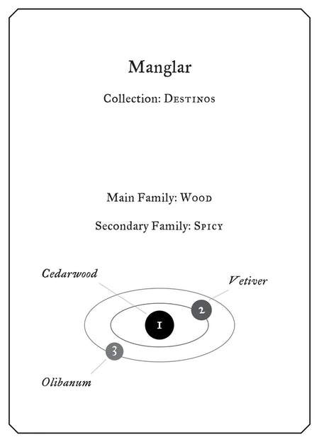 Manglar - Collection: Destinos - Cedarwood, Vetiver, Olibanum. 